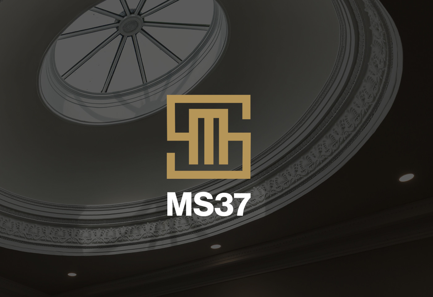 MS37