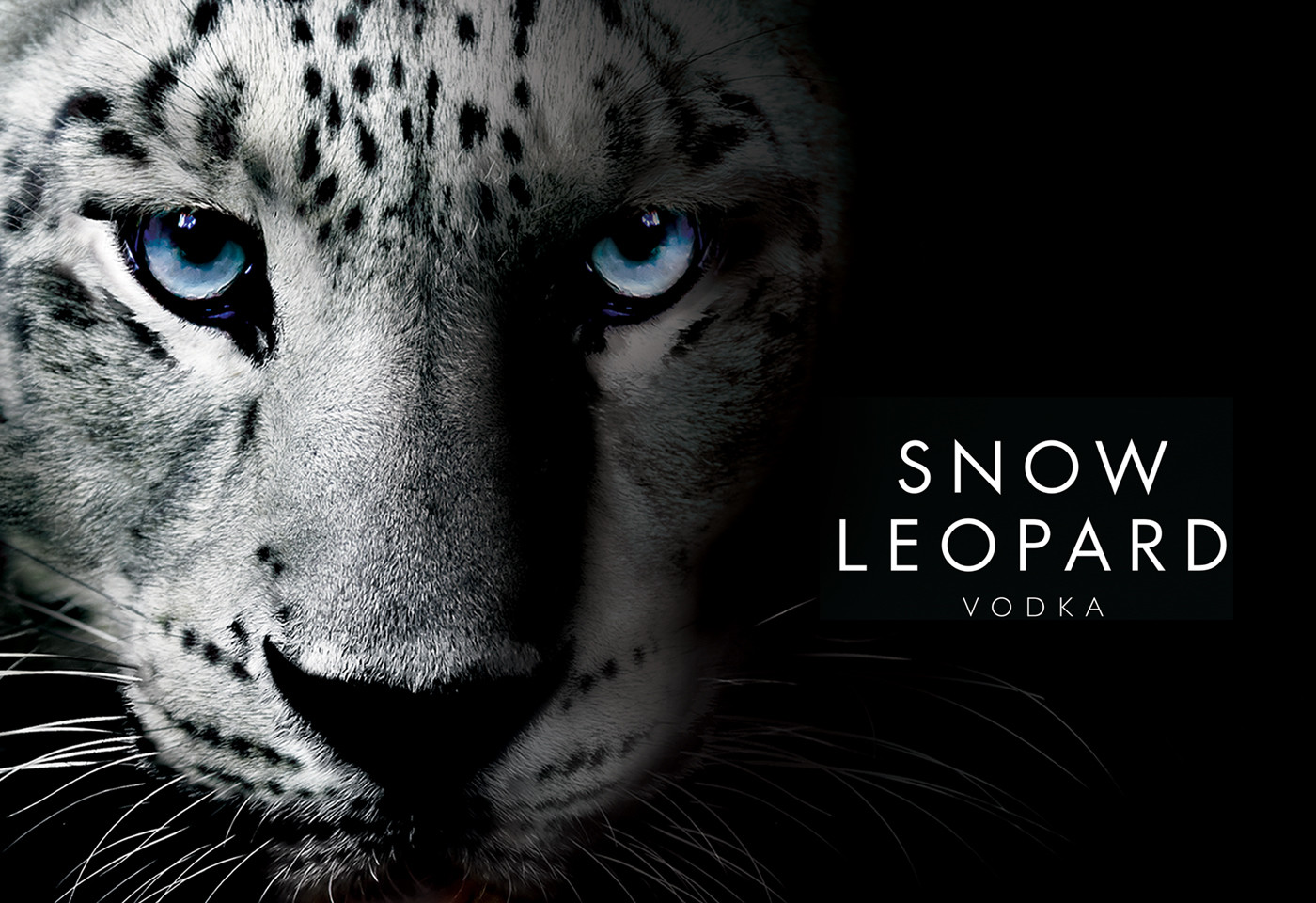 Snow Leopard