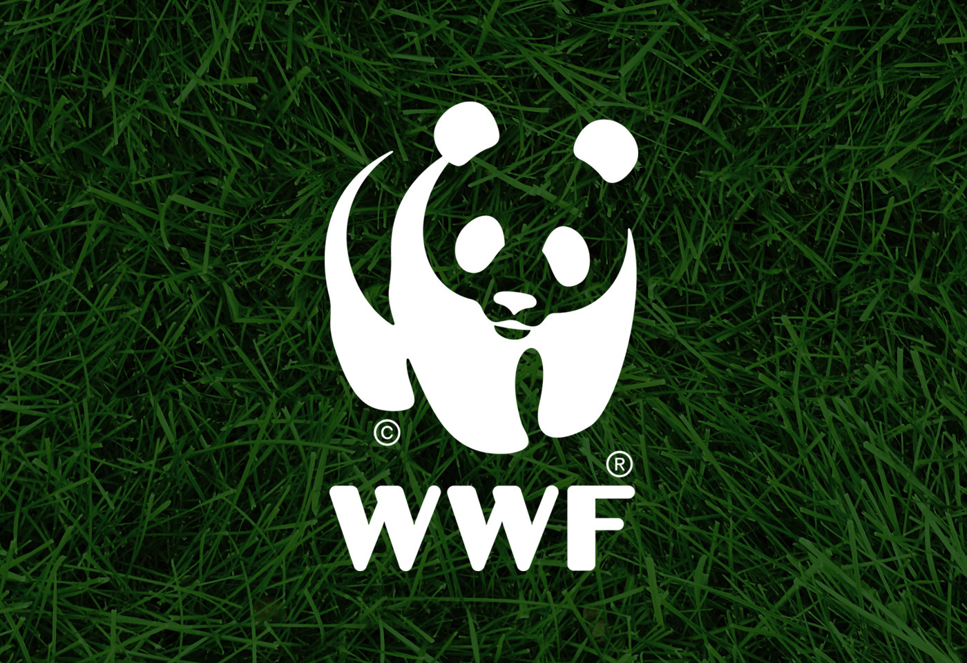 WWF Scotland