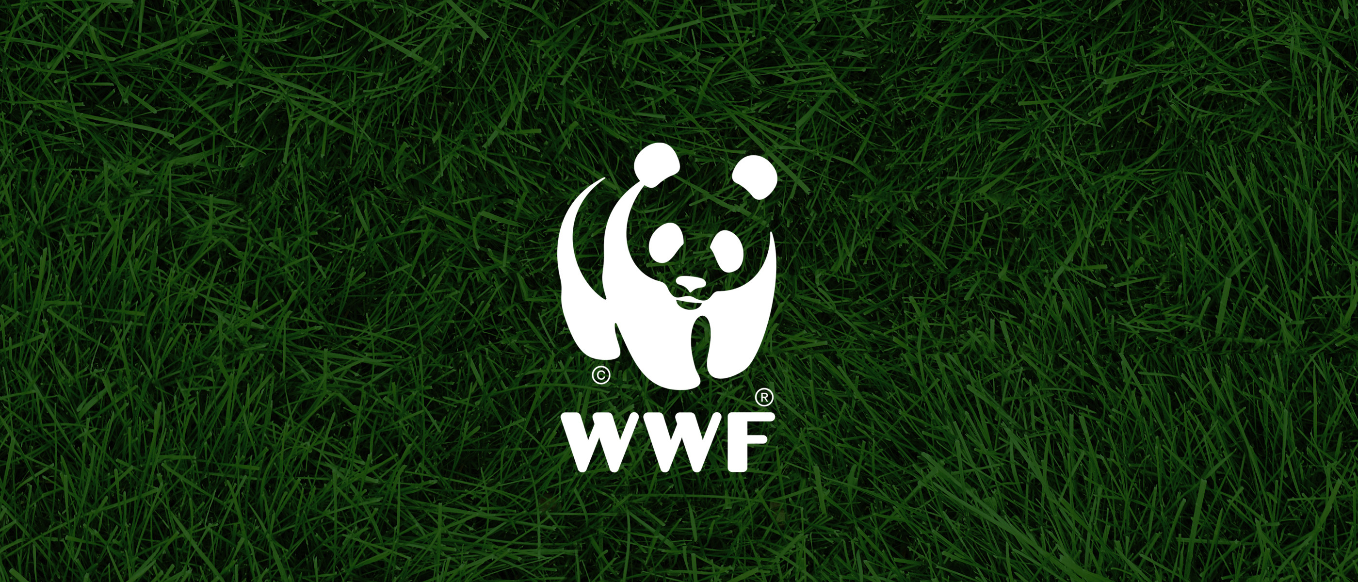 WWF Scotland
